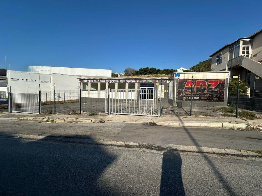 Commercial Property for Sale in Richmond Hill Eastern Cape